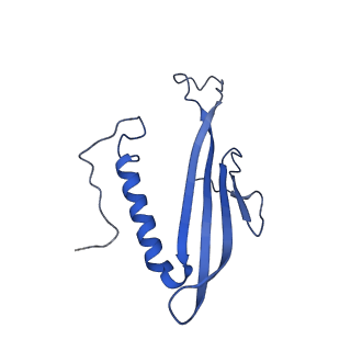 41443_8toc_Cc_v1-0
Acinetobacter phage AP205