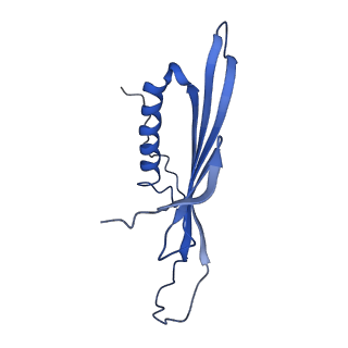 41443_8toc_DA_v1-0
Acinetobacter phage AP205