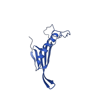 41443_8toc_DC_v1-0
Acinetobacter phage AP205