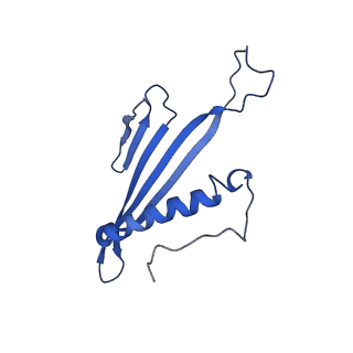 41443_8toc_DF_v1-0
Acinetobacter phage AP205