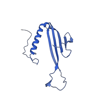 41443_8toc_DG_v1-0
Acinetobacter phage AP205