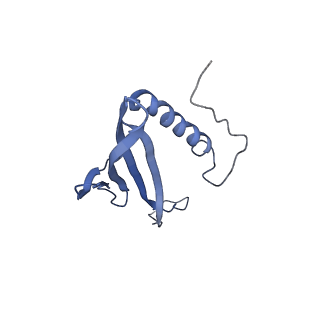 41443_8toc_DI_v1-0
Acinetobacter phage AP205