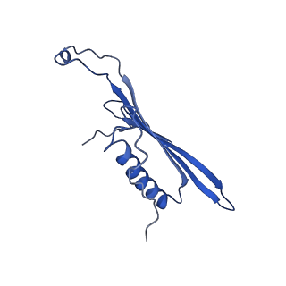 41443_8toc_DK_v1-0
Acinetobacter phage AP205