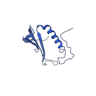 41443_8toc_DN_v1-0
Acinetobacter phage AP205
