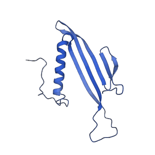 41443_8toc_DU_v1-0
Acinetobacter phage AP205