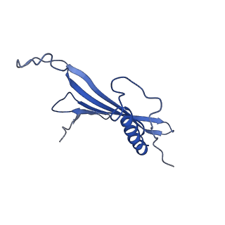 41443_8toc_DY_v1-0
Acinetobacter phage AP205