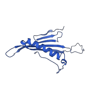 41443_8toc_DZ_v1-0
Acinetobacter phage AP205