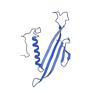 41443_8toc_ED_v1-0
Acinetobacter phage AP205