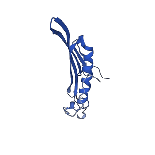 41443_8toc_EF_v1-0
Acinetobacter phage AP205