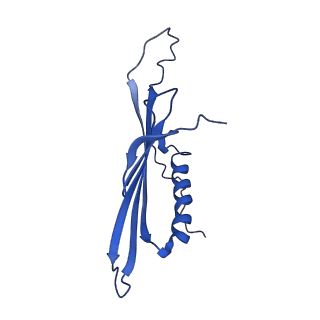 41443_8toc_EH_v1-0
Acinetobacter phage AP205