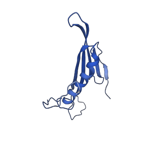 41443_8toc_EM_v1-0
Acinetobacter phage AP205