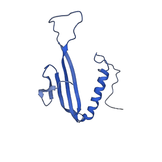 41443_8toc_ET_v1-0
Acinetobacter phage AP205