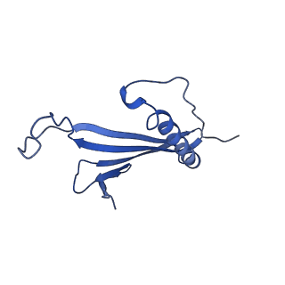 41443_8toc_EY_v1-0
Acinetobacter phage AP205