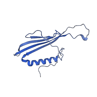 41443_8toc_EZ_v1-0
Acinetobacter phage AP205