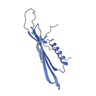 41443_8toc_FB_v1-0
Acinetobacter phage AP205