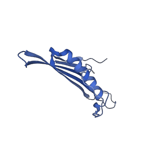 41443_8toc_FC_v1-0
Acinetobacter phage AP205