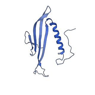 41443_8toc_FI_v1-0
Acinetobacter phage AP205