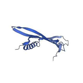 41443_8toc_FJ_v1-0
Acinetobacter phage AP205