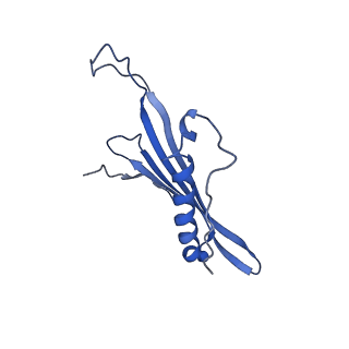 41443_8toc_FQ_v1-0
Acinetobacter phage AP205