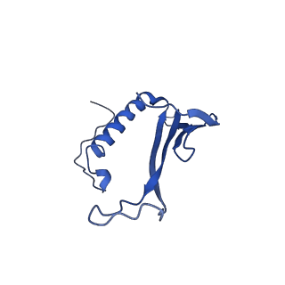 41443_8toc_FS_v1-0
Acinetobacter phage AP205