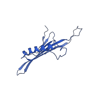 41443_8toc_FU_v1-0
Acinetobacter phage AP205