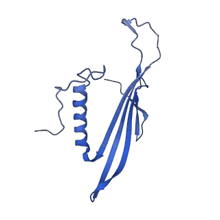 41443_8toc_FV_v1-0
Acinetobacter phage AP205