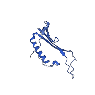 41443_8toc_Fc_v1-0
Acinetobacter phage AP205