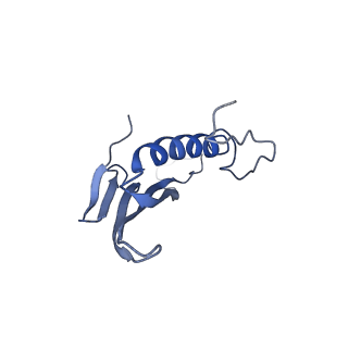 41443_8toc_GA_v1-0
Acinetobacter phage AP205