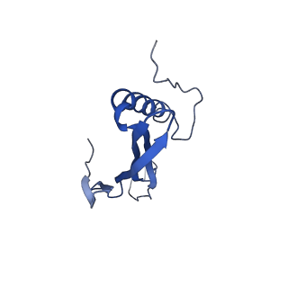 41443_8toc_GH_v1-0
Acinetobacter phage AP205