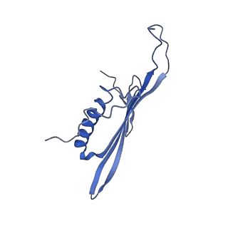 41443_8toc_GI_v1-0
Acinetobacter phage AP205