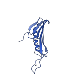 41443_8toc_GK_v1-0
Acinetobacter phage AP205