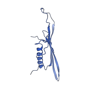 41443_8toc_GM_v1-0
Acinetobacter phage AP205