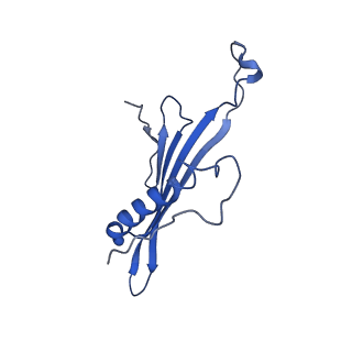 41443_8toc_GN_v1-0
Acinetobacter phage AP205