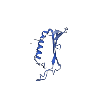 41443_8toc_GO_v1-0
Acinetobacter phage AP205