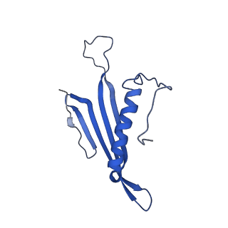 41443_8toc_GS_v1-0
Acinetobacter phage AP205