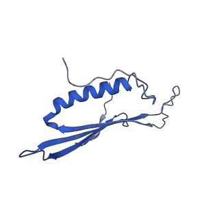 41443_8toc_GT_v1-0
Acinetobacter phage AP205