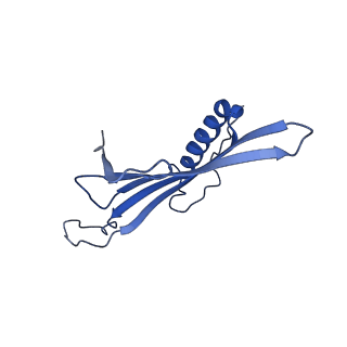 41443_8toc_GV_v1-0
Acinetobacter phage AP205