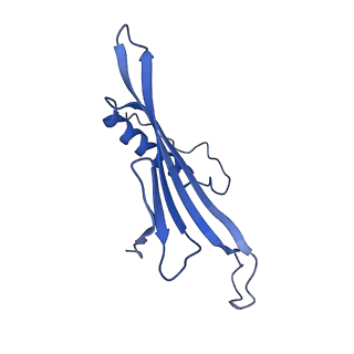 41443_8toc_GW_v1-0
Acinetobacter phage AP205