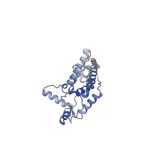 41449_8tof_D_v1-0
Rpd3S bound to an H3K36Cme3 modified nucleosome