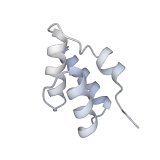10543_6tpq_A_v1-2
RNase M5 bound to 50S ribosome with precursor 5S rRNA
