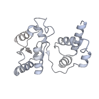 10543_6tpq_B_v1-2
RNase M5 bound to 50S ribosome with precursor 5S rRNA