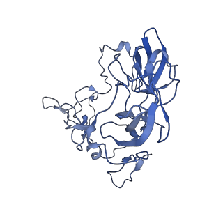 10543_6tpq_W_v1-2
RNase M5 bound to 50S ribosome with precursor 5S rRNA