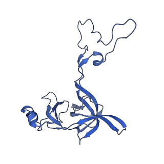 10543_6tpq_X_v1-2
RNase M5 bound to 50S ribosome with precursor 5S rRNA
