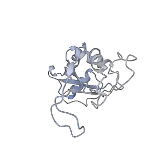 10543_6tpq_Z_v1-2
RNase M5 bound to 50S ribosome with precursor 5S rRNA