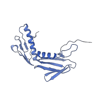 10543_6tpq_a_v1-2
RNase M5 bound to 50S ribosome with precursor 5S rRNA