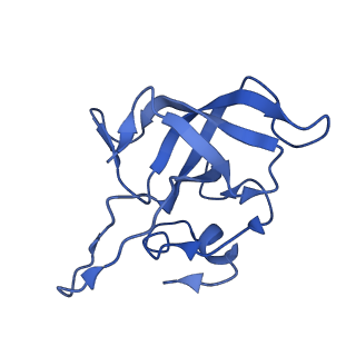 10543_6tpq_d_v1-2
RNase M5 bound to 50S ribosome with precursor 5S rRNA