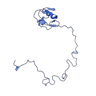 10543_6tpq_e_v1-2
RNase M5 bound to 50S ribosome with precursor 5S rRNA