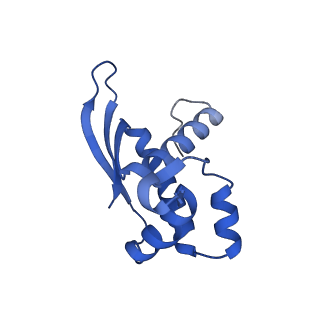 10543_6tpq_g_v1-2
RNase M5 bound to 50S ribosome with precursor 5S rRNA