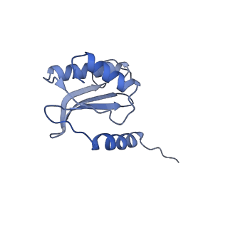 10543_6tpq_h_v1-2
RNase M5 bound to 50S ribosome with precursor 5S rRNA