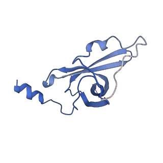 10543_6tpq_i_v1-2
RNase M5 bound to 50S ribosome with precursor 5S rRNA
